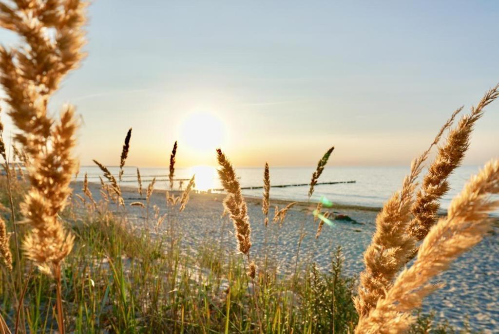 Ferienwohnung Strandurlaub Boergerende-Rethwisch Luaran gambar
